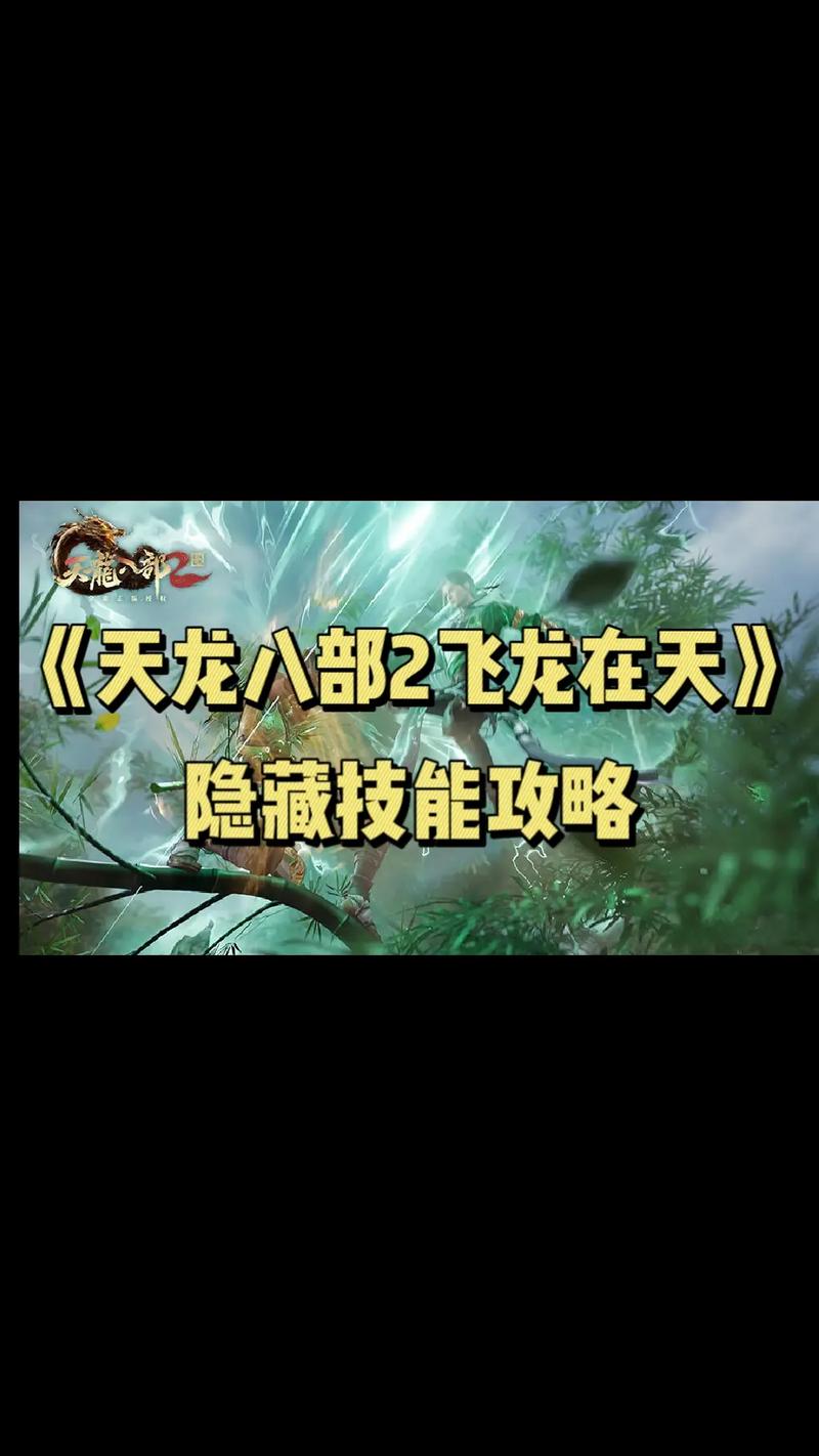 天龙八部2飞龙专业技能